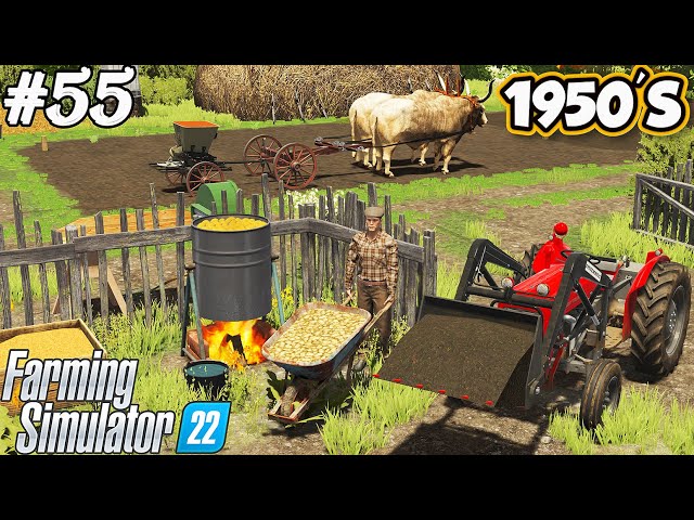 1950'S. COOKING POTATOES. Pig food production. Spreading compost. Sowing seed grass. FS 22. Ep 55