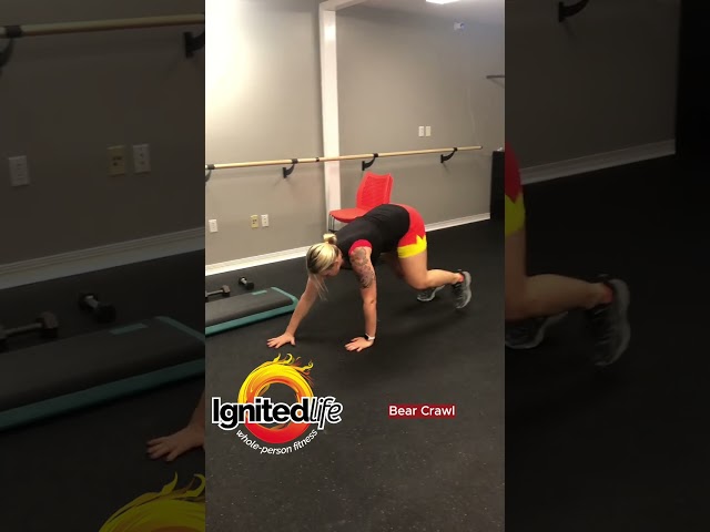 Bear Crawl- Basic Exercise Demo