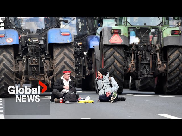 Farmer protests: Belgium expands blockades, vows to keep tractors in place until EU summit
