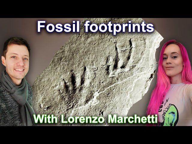 Fossil footprints and poop - what animals left when they were alive