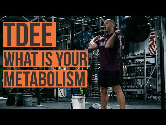 What is Your Metabolism (TDEE) and How to Increase it? - Diesel Dad Episode 2