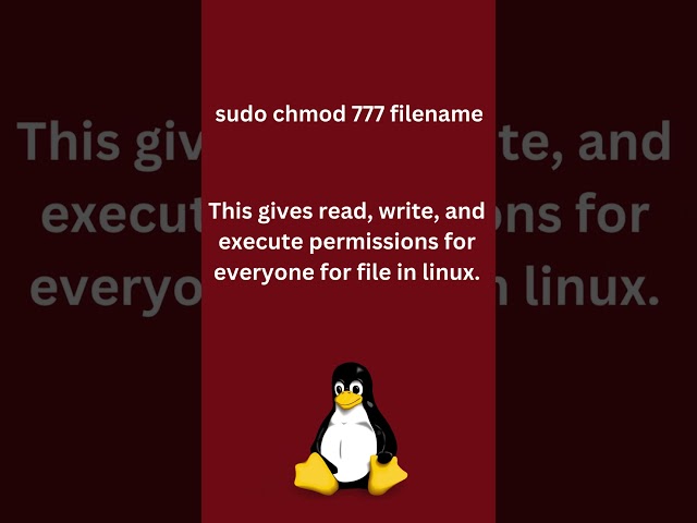 File Permission Linux 777 #chmod #777 #file #permission #change #linux #command #commandline