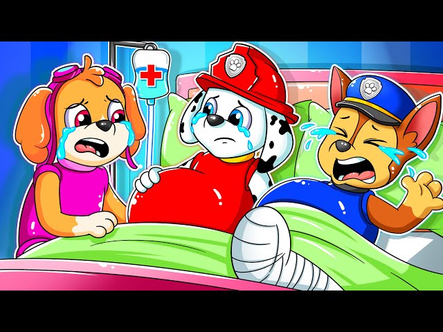 Chase & Marshall is Pregnant?? - Happy Life Story - Paw Patrol The Mighty Movie - Rainbow 3