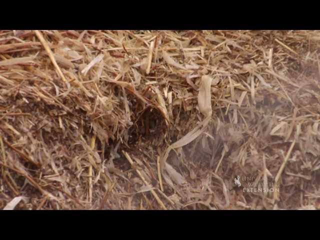 Composting Part 2 | From the Ground Up