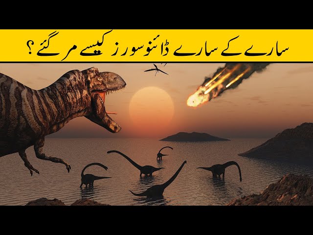 What Killed The Dinosaurs | Urdu/Hindi