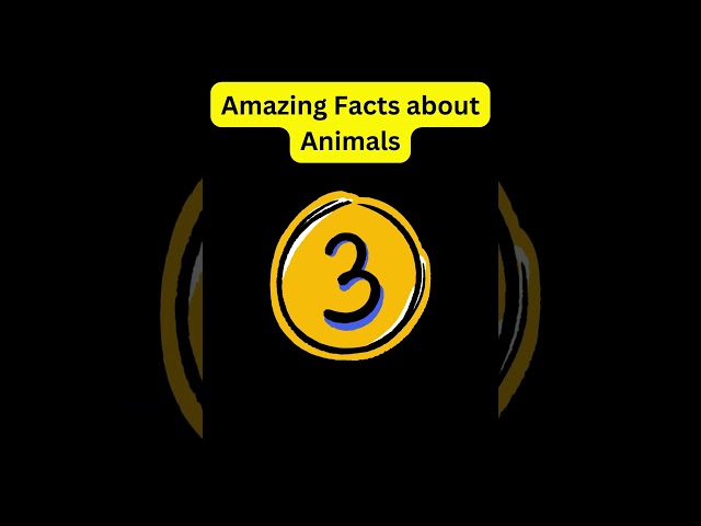 Amazing Facts About Birds#Part7#ytshorts#viral #trending#informative