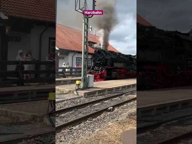 #shorts #dampflok #harz  #steamtrain #schmalspurbahn #lokomotive #Brockenbahn