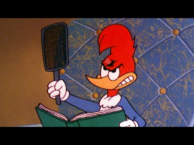 Woody Needs An Exterminator | 2.5 Hours of Classic Episodes of Woody Woodpecker