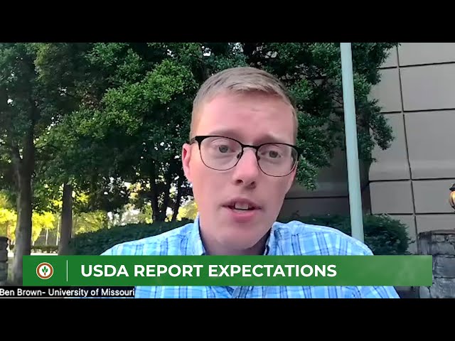 What to expect from the upcoming USDA acreage and stocks report