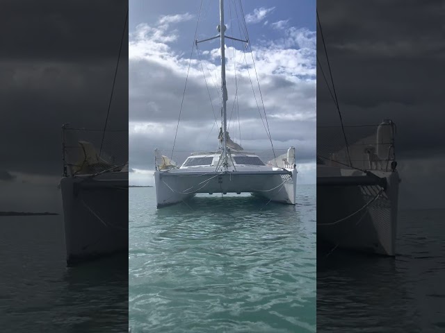 SALTY SINGS --Tasman C35 catamaran --liveaboard --boat dog --home on the sea --