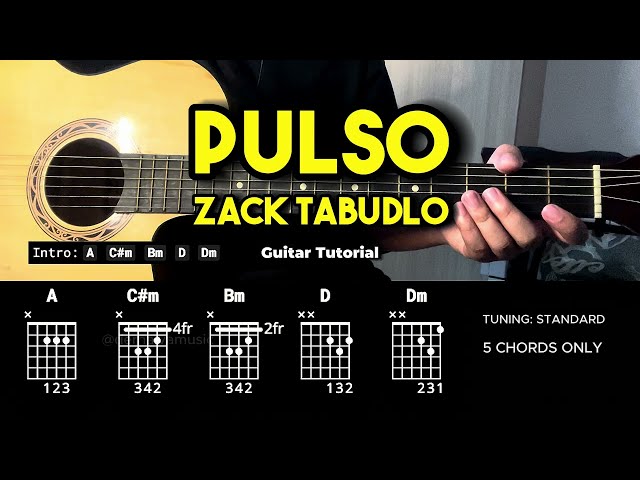 Pulso - Zack Tabudlo | Easy Guitar Chords Tutorial For Beginners (CHORDS & LYRICS) #guitarlessons
