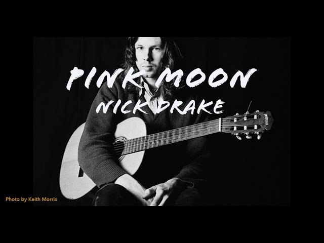 Pink Moon by Nick Drake - Guitar Lesson