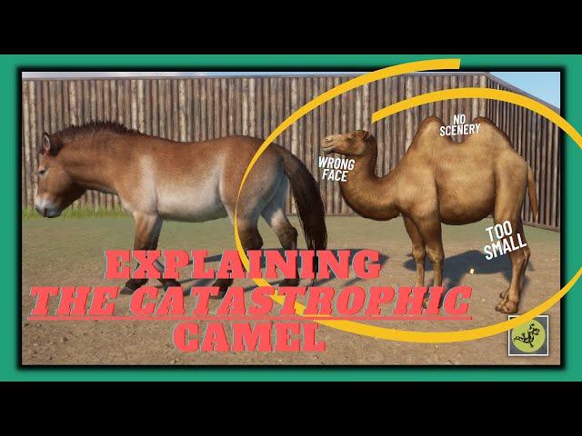 Everything wrong with the Bactrian Camel | Planet Zoo