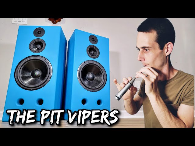 Building The Pit Vipers - Audiophile Party Speaker