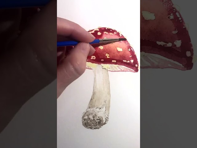Beginner Tip for Painting Realistic Watercolors #realisticwatercolor #watercolortips #mushroom