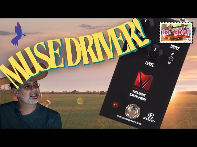 How Distortion Can Improve Your Mix | Muse Driver by Keeley Electronics