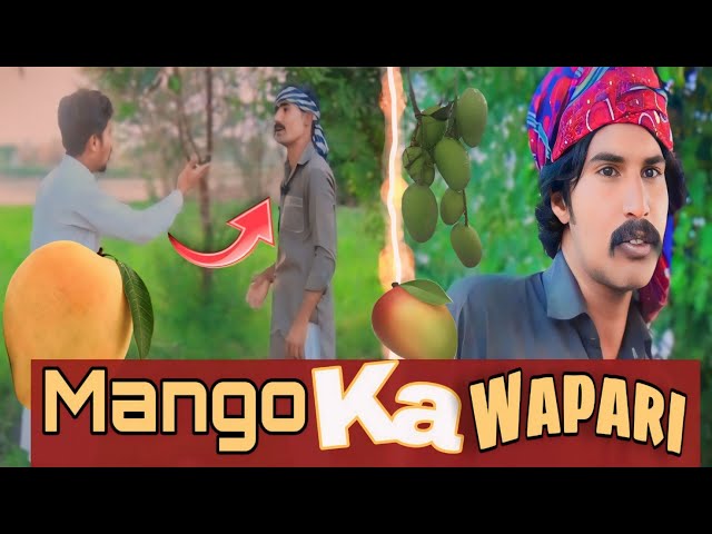 Mango Ka Wapari 🥭||Chlebaz Wapari😱