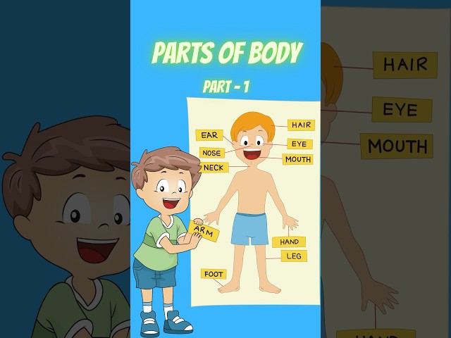 Exploring the Human Body: Parts of Body - Part 1 #kids #shorts #partsofbody