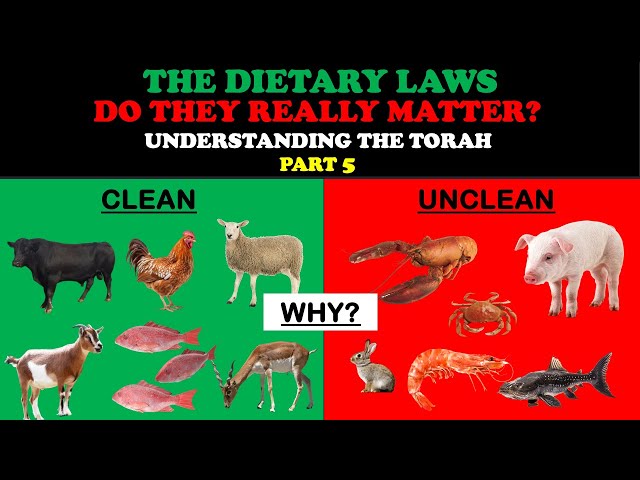 THE DIETARY LAWS: DO THEY REALLY MATTER - UNDERSTANDING THE TORAH PT. 5