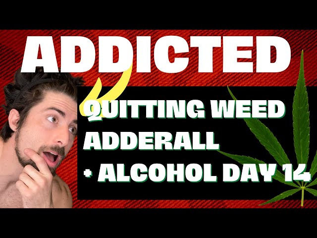 Two weeks sober from Weed | Alcohol | Adderall - sobriety update