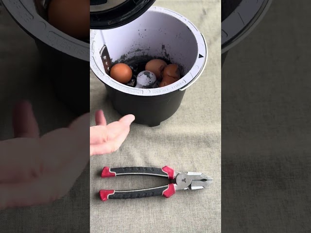Disassembling the carbon filter foam under the Breville Vitamix Foodcycler Lid #hacks #shorts #howto