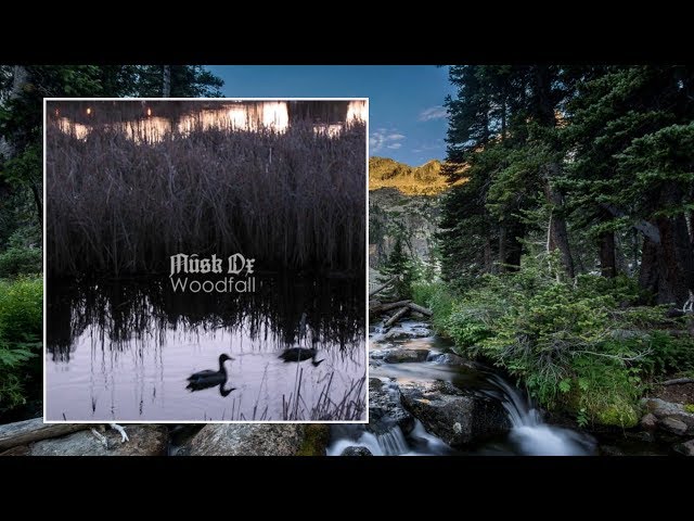 Musk Ox — Woodfall [Full Album]