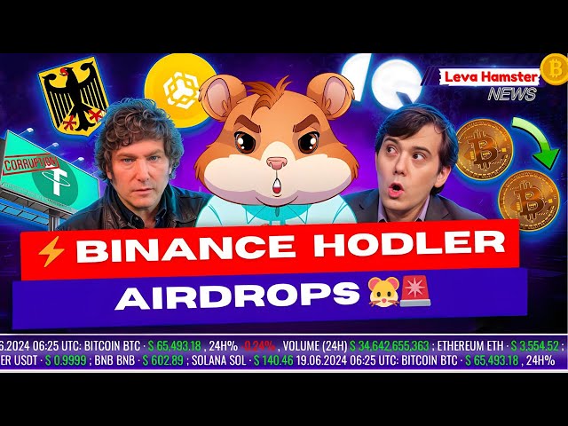 Hamster Academy: Airdrop Farming Secrets | Hot vs. Cold Wallets 🐹 Crypto Safety & More! #bitcoin
