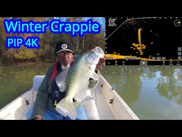 Winter Crappie Fishing - Tips To Help You Catch Winter Crappie using Livescope