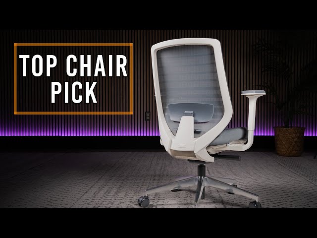 One of the BEST $300 CHAIRS I've Reviewed - Branch Ergonomic Chair