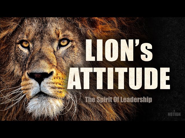 THE POWER OF LION'S ATTITUDE / Leadership determines everything - Motivational Speech video