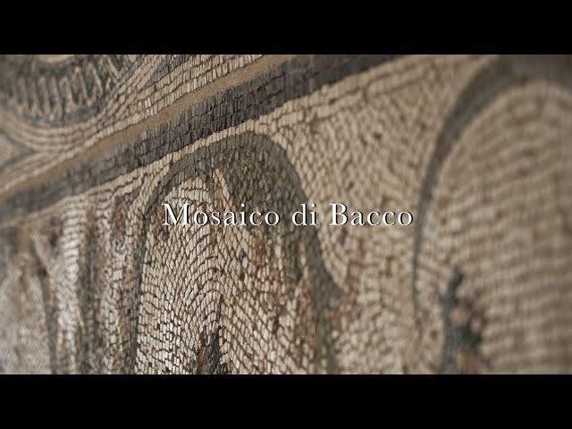 Il Mosaico di Bacco al Museo Archeologico Nazionale di Sarsina