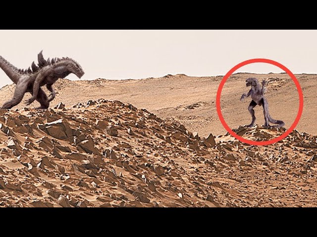 NASA Mars Perseverance Rover Released New 4k Video of Mars on Sol 1114 | Mars 4k Video | Mars In 4k