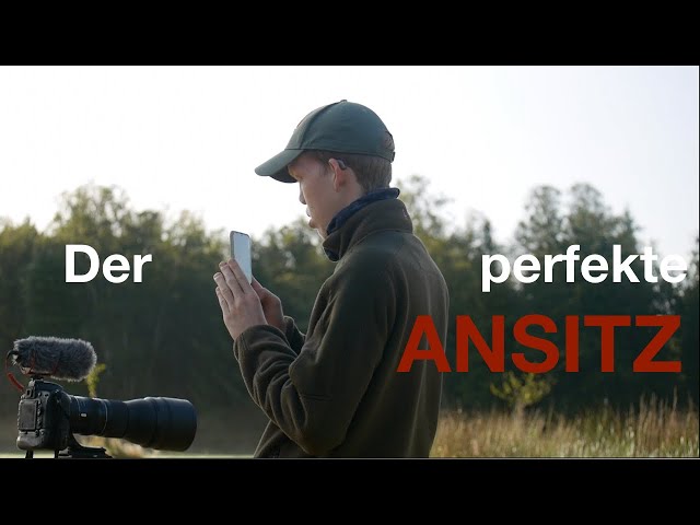 "Der perfekte Ansitz!" / Hunting Ground Belgium