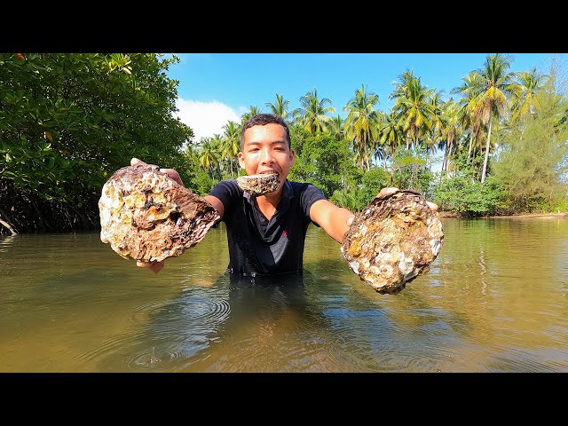 Giant Oysters Found At Mangrove - Wilderness Food