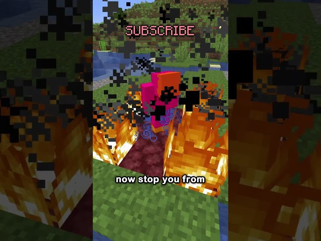 using water in the nether