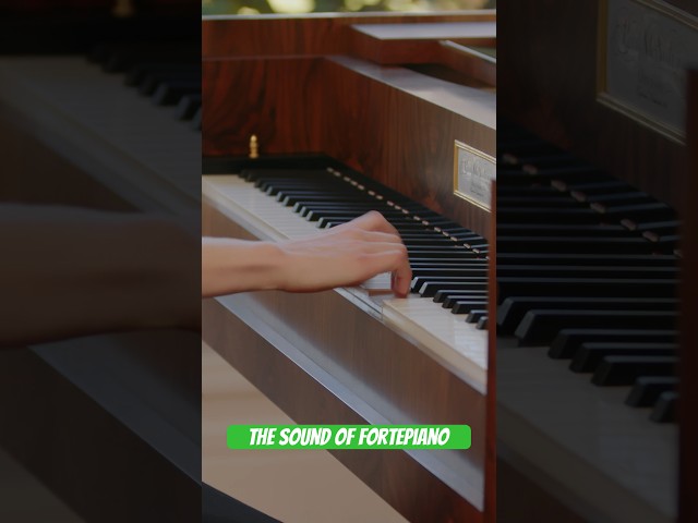 Mélisande McNabney, the dynamics of EMV's Graf forte piano #classical #music #keyboard #keys