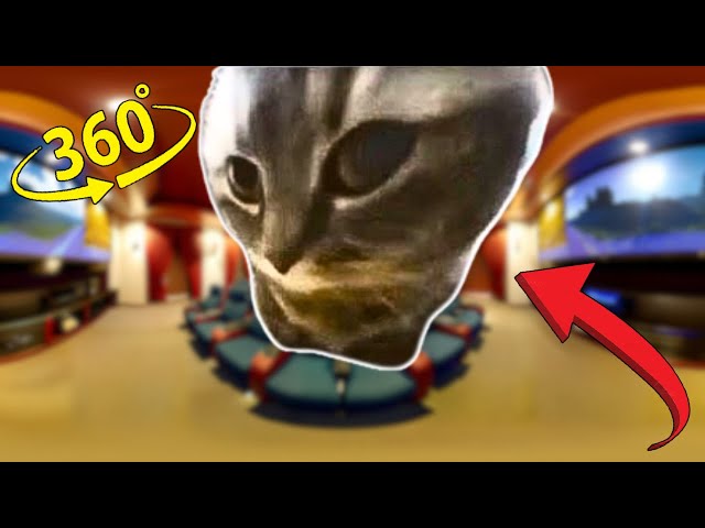 360° CHIPI CHIPI CHAPA CHAPA CAT - In Cinema  | 4K | VR 360 Video