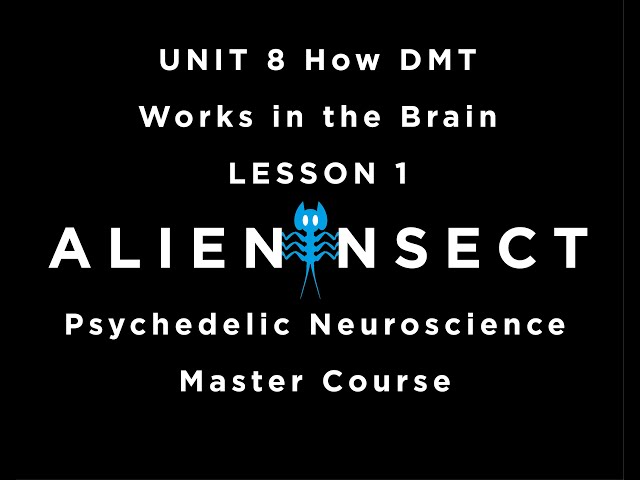 Psychedelics and the Brain Master Course UNIT 8 How DMT Works in the Brain LESSON 1