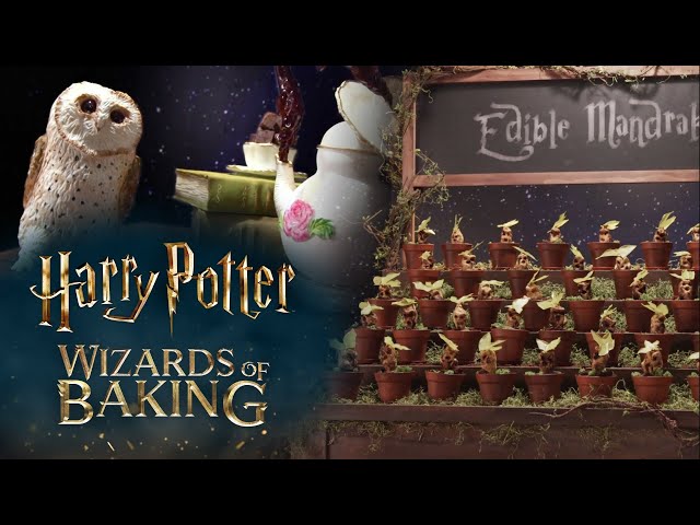Harry Potter: Wizards of Baking | Food Network & Max