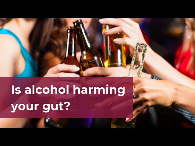 How alcohol affects gut health | GUTCARE