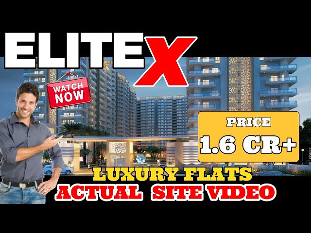 Elite x Noida Extension, Elite x Sector 10 ☎️9560955050 - Sector 10 Noida Extension