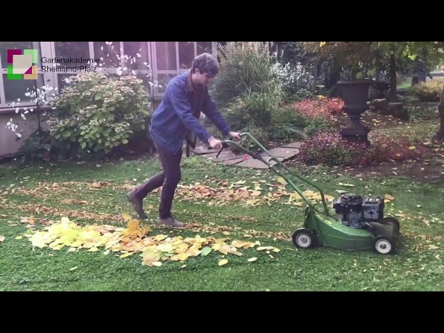 Garten Akademie DLR - Herbstlaub im Garten, Was kann ich tun?