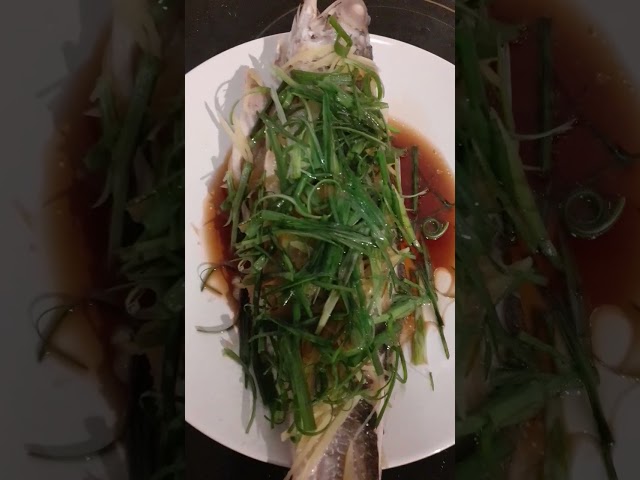 Steamed Fish HONG KONG Style