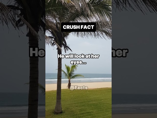 When a guy likes a girl.#crushfacts #facts #factsshorts #fyp #shortsfeed #ytshorts  #psychology #fy