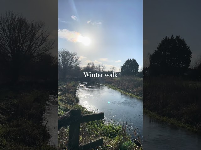 Winter walk 🌱 | Slow winter vlog