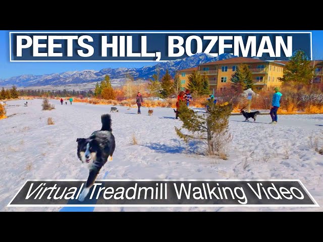 Peets Hill Bozeman Montana Virtual Walking Tour - 4k City Walks Video for Treadmill