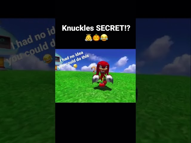 Knuckles Secret in Chao Garden!👼 #shorts #sonic #knuckles #gamecube #nostalgia #sonicadventure2