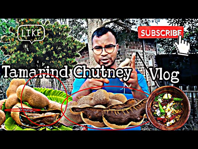 Tamarind chutney Vlog|Village imli recipes|Intas Jz Official