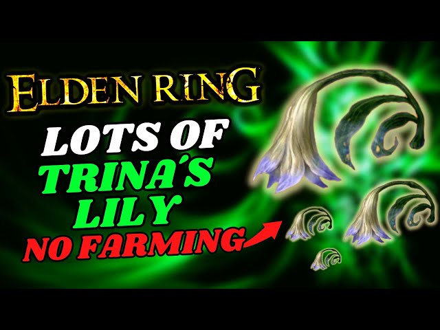 Trina's Lily Location - Best Area to Get A LOT of Them Without Farm PATCH 1.09 - Elden Ring