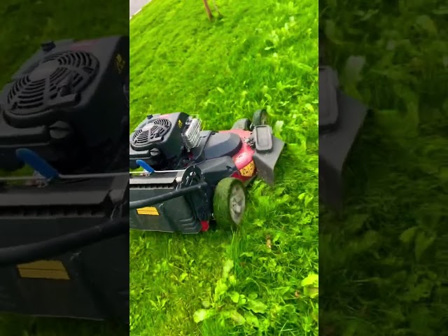 Lawn Mower ASMR 1 #mowing #grass #asmr